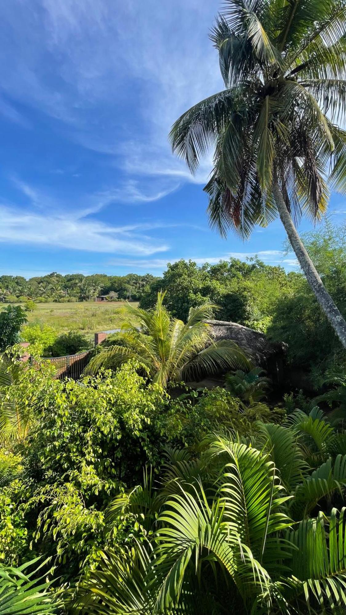 The Lookout Lodge Тангалла Экстерьер фото