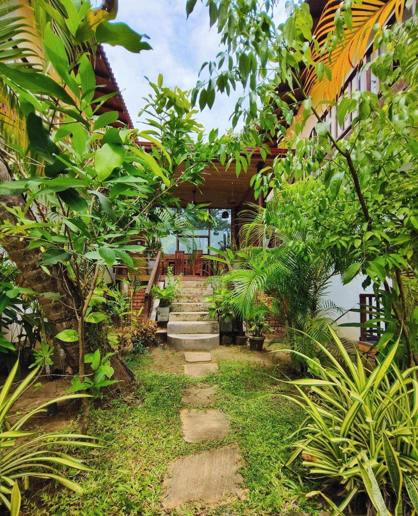 The Lookout Lodge Тангалла Экстерьер фото